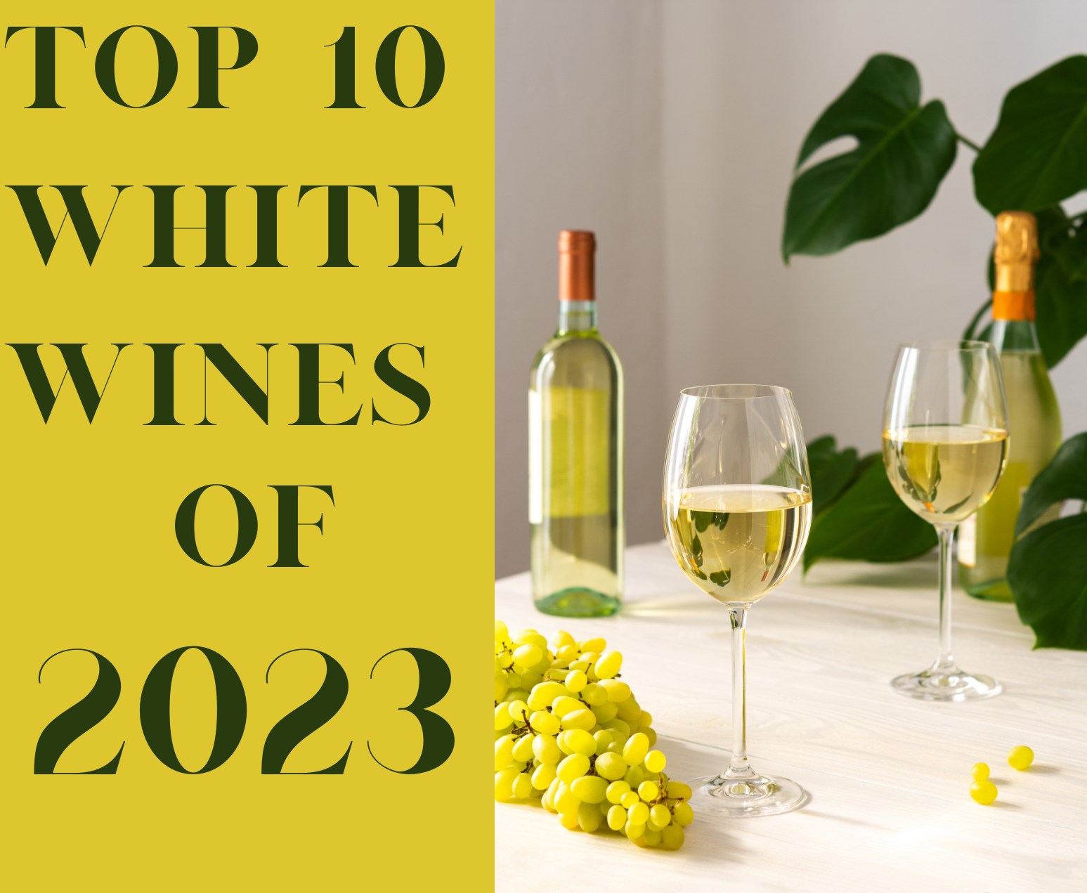 Top White Wines of 2023