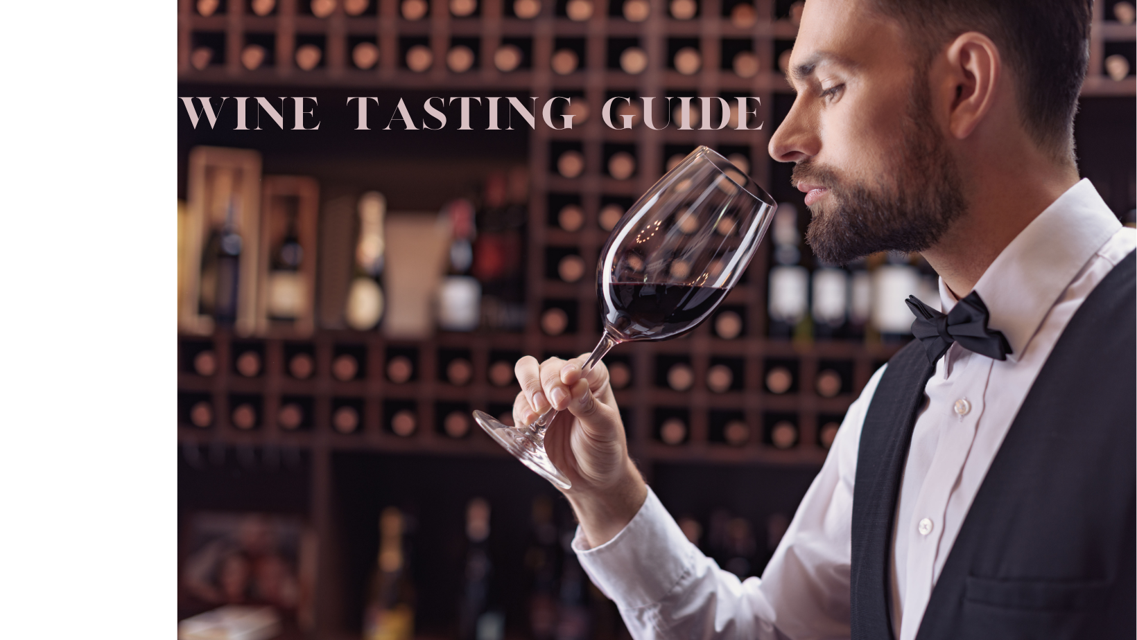 Wine Tasting Guide